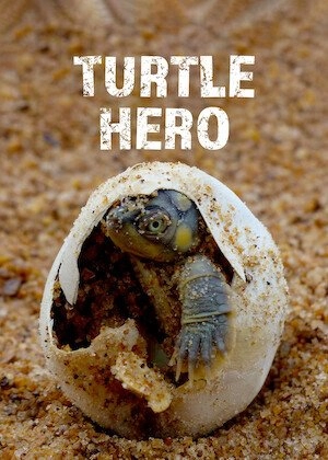     Turtle Hero